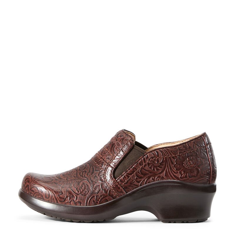 Ariat Expert SD Kahverengi Takunya Bayan (26482-601)